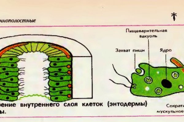 Кракен даркнет что известно